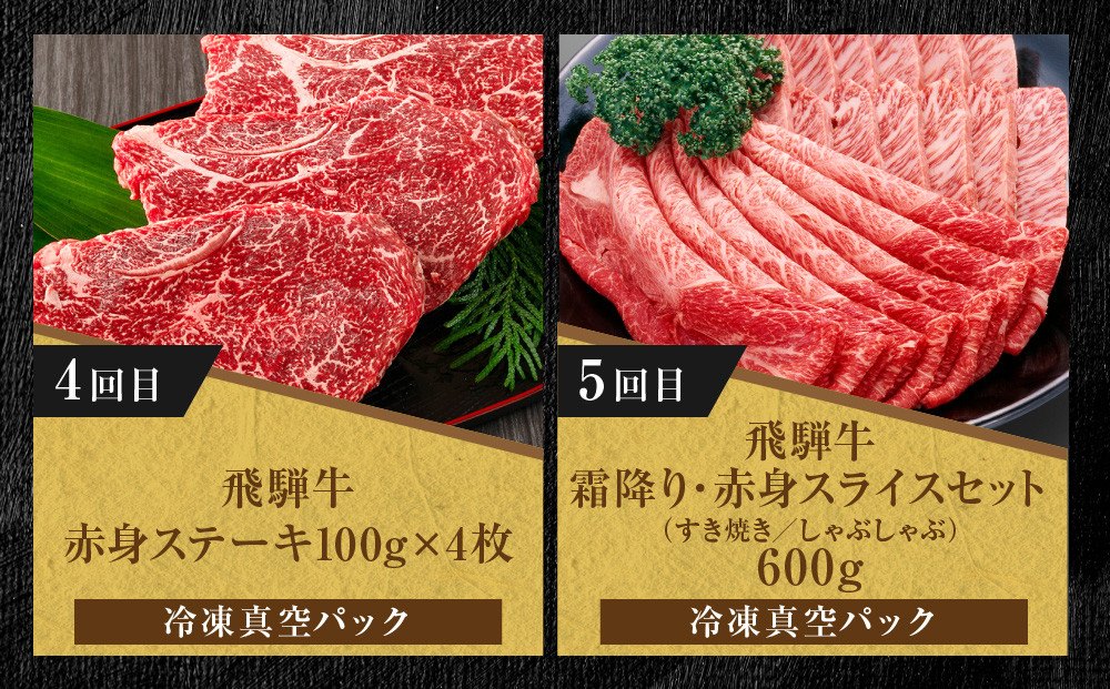 【定期便】全5回 飛騨牛 バラエティ（ステーキ /焼肉 / すき焼き/切り落とし） | 肉 お肉 黒毛和牛 和牛 個包装 小分け 牛肉 お取り寄せ 飛騨高山ミート MZ104
