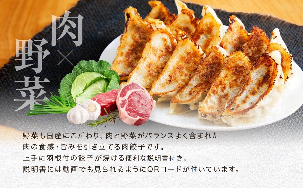 飛騨豚餃子12個入り×4セット（簡易包装）| おいしい焼き方説明書付き 自宅使いに最適 肉 食品 人気 便利 飛騨高山 餃子工房らん NL005