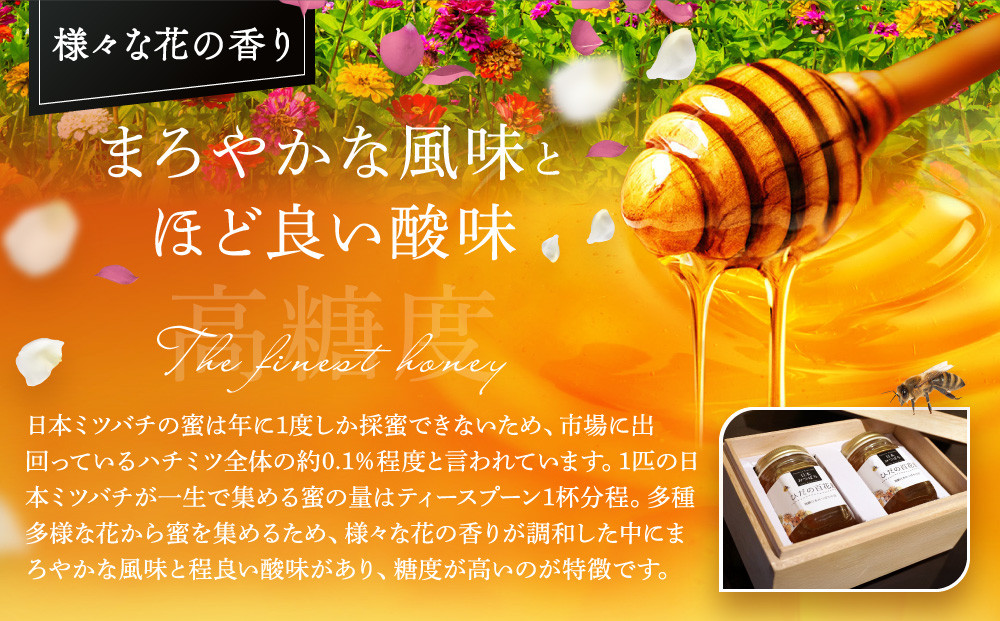 ひだの百花蜜 150g×2本 桐箱入り | 国産 非加熱 日本ミツバチ 二ホンミツバチ ハニー ハチミツ はちみつ 蜂蜜 贈答 プレゼント 飛騨高山 飛騨日本みつばちの会 PN001