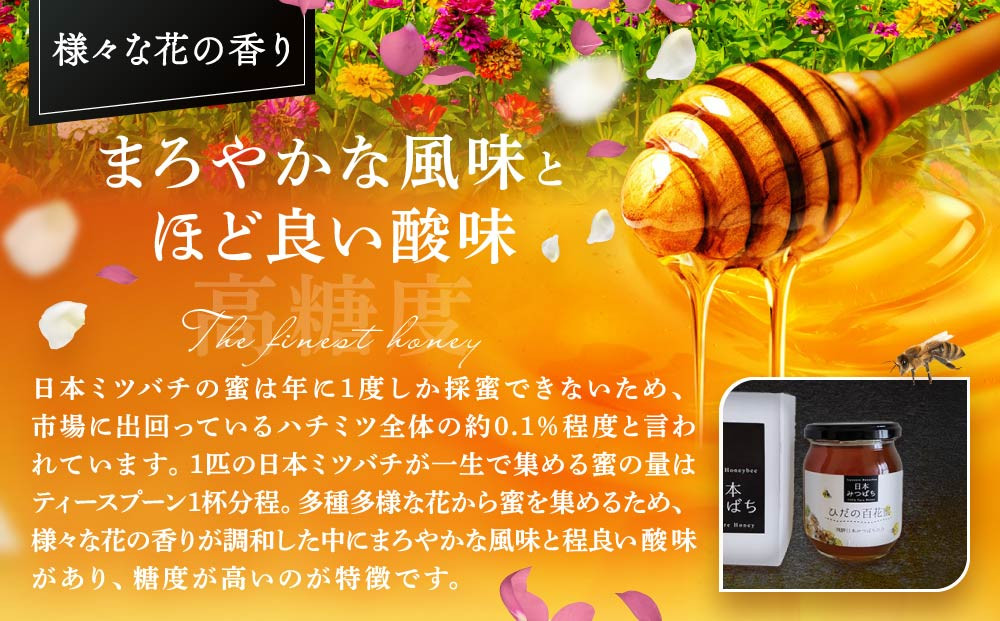 ひだの百花蜜 300g×1本 | 国産 非加熱 日本ミツバチ ハニー ハチミツ はちみつ 蜂蜜 飛騨高山 飛騨日本みつばちの会 PN003