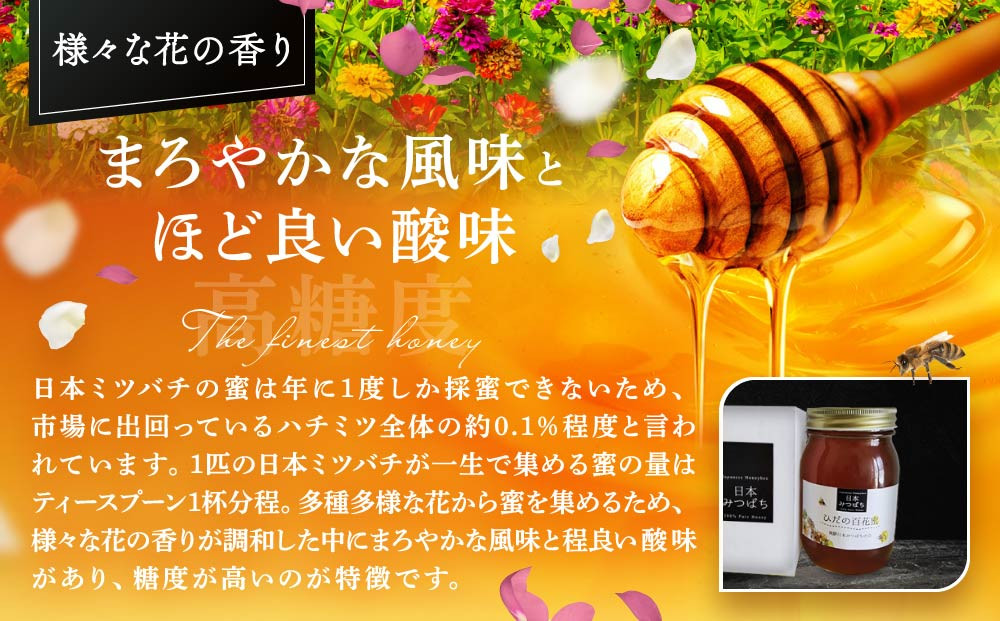 ひだの百花蜜 600g×1本 | 国産 非加熱 日本ミツバチ ハニー ハチミツ はちみつ 蜂蜜 飛騨高山 飛騨日本みつばちの会 PN004