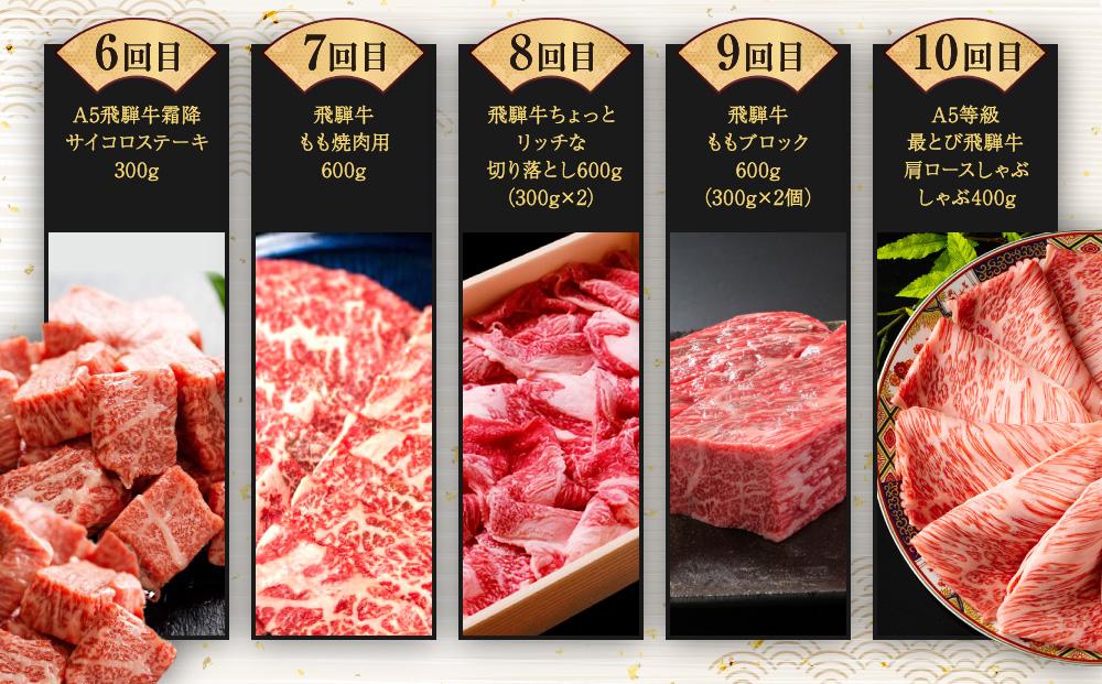 飛騨牛 定期便 全10回 牛肉 ( ステーキ / 焼肉 / しゃぶしゃぶ / すき焼き ) | 肉 食べ比べ A5 霜降り ロース もも サーロイン 岐阜 高山市 飛騨高山 岐阜県 人気 お楽しみ おすすめ ZZ017