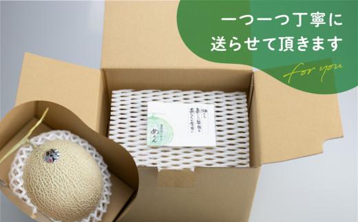 【先行受付】庄兵衛さん家のメロン2玉（7月下旬～順次発送）| メロン フルーツ 果物 アースメロン 箱入り 期間限定 数量限定 ギフト 贈答 人気 おすすめ お取り寄せ 飛騨高山 寺田農園 BN007