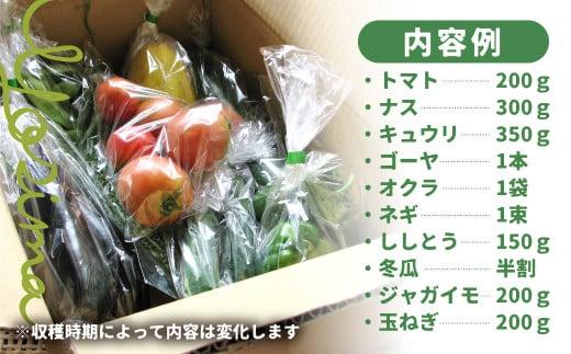 【数量限定】【2026年予約受付】（7月～発送開始） 自然栽培 朝採れ 野菜セット 5～8種 | 先行予約 新鮮 野菜 採れたて トマト ナス キュウリ ゴーヤ オクラ ネギ ししとう 冬瓜半割 ジャガイモ 玉ねぎ など お任せ 飛騨高山 よしま農園 CK008