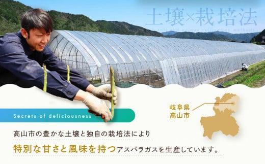 【2026年発送・先行受付】ひだっこアスパラ 1.5kg | アスパラ アスパラガス 飛騨産 野菜 春 夏野菜 産地直送 新鮮 食品 おいしい 人気 ひだっこの里 CM004VC01