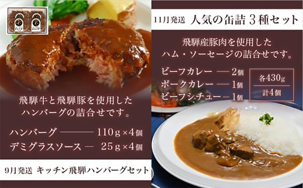 【定期便】人気のお肉レトルト商品詰め合わせ 全4回お届け | キッチン飛騨 4カ月 定期 カレー ハムセット ハンバーグ 缶詰 食品 冷凍 ビーフ ポーク カレー ビーフシチュー ハヤシビーフ 飛騨牛 老舗 名店 飛騨高山 飛騨ハム CQ100
