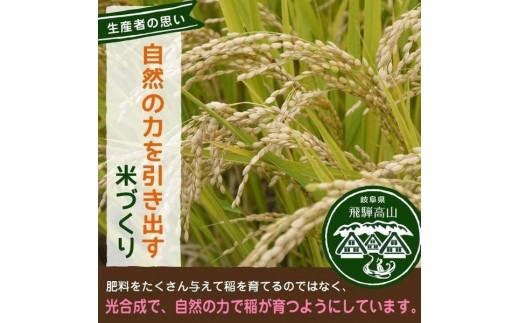【令和7年度産】飛騨産 コシヒカリ さとう 特選米 5kg 岐阜県 飛騨高山 美味しい 米 ファミリーストアさとう CY022VC13