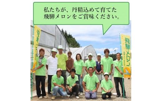 【数量限定】飛騨メロン 1玉 2L～3Lサイズ (約1.5kg)  化粧箱入 21-326 7月中旬まで受付 CY032