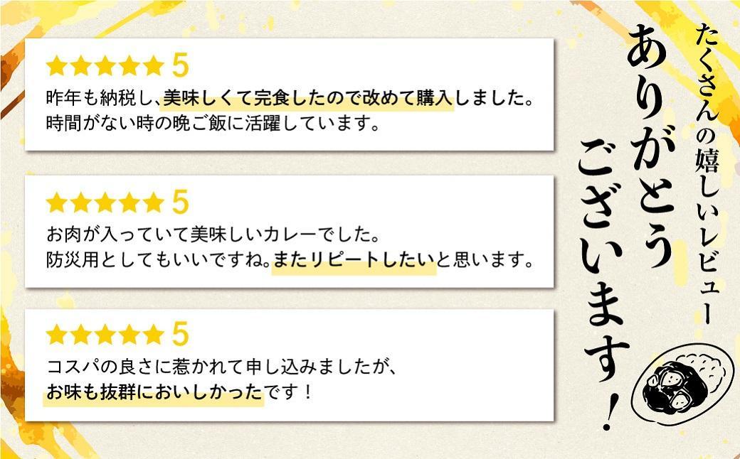 【3ヶ月以内発送】飛騨牛カレー (8袋) 飛騨牛トマトカレー (4袋)  | 訳あり 飛騨牛 肉 牛 カレー ビーフカレー 簡易包装 レトルトカレー トマトカレー 人気 おすすめ おいしい 便利 飛騨高山 ふるさと清見 DC004VC13