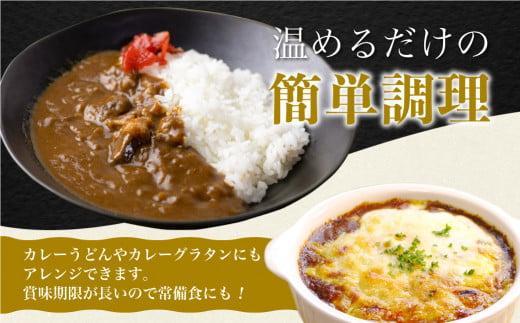 【3ヶ月以内発送】飛騨牛カレー (12袋) | 訳あり 飛騨牛 肉 牛 カレー ビーフカレー 簡易包装 レトルトカレー 人気 おすすめ おいしい 便利 飛騨高山 ふるさと清見 DC006VC13
