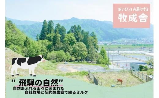 【寄附額見直しました！】『牧成舎』 飛騨の牛乳屋のこだわりヨーグルト (20個セット) |  ヨーグルト 食べ比べ おいしい 牧場 人気 乳製品 飛騨高山 牧成舎 DF013VC13