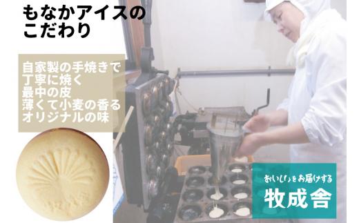 【3ヶ月定期便】飛騨の牛乳屋 牧成舎 お任せアイスクリームセット アイス カップアイス 最中アイス 1Lアイス どれが届くか お菓子 おかし  おやつ  乳製品 毎月届く 定期便 DF112