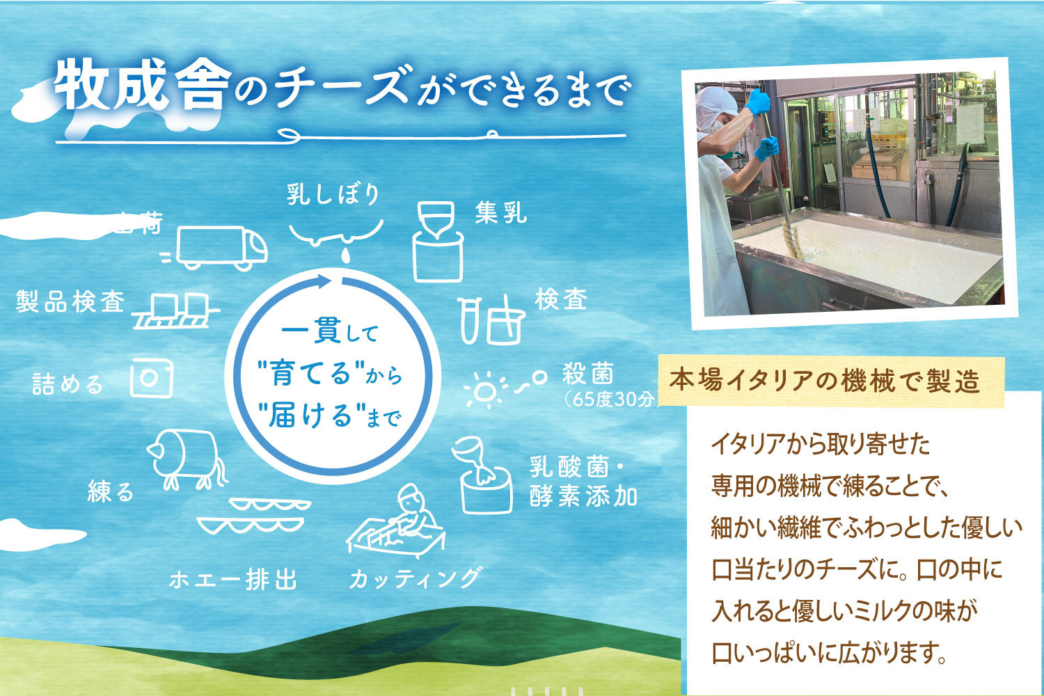 【12か月定期便】牧成舎のフレッシュモッツァレラチーズ2個 (有)牧成舎 DF223