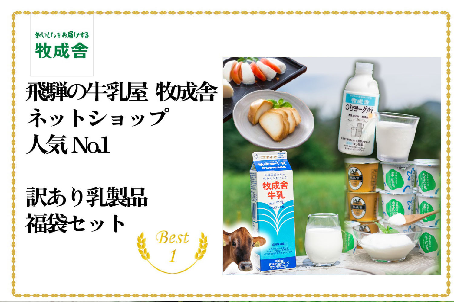 【6か月定期便】牧成舎の訳あり乳製品福袋（牛乳・ヨーグルト・チーズ詰め合わせ）訳あり 福袋 乳製品 チーズ 詰め合せ  | 牧成舎 DF229