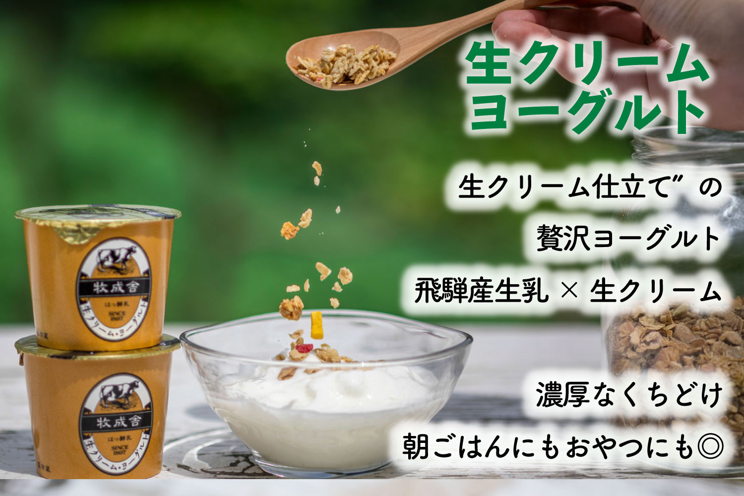 【10か月定期便】牧成舎のヨーグルトたっぷりセット｜のむヨーグルト750ml×3本・生クリームヨーグルト×6個・季の風ヨーグルト×6個｜飛騨産生乳使用・お取り寄せ 飛騨高山 ｜(有)牧成舎 DF242