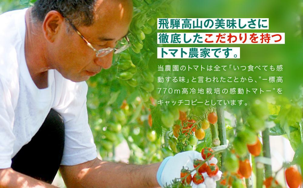 【寄附額見直しました！】数量限定 鈴なりトマトのトマトBase 瓶詰 | 保存食 ピューレ ギフト おいしい 濃厚 トマト 長谷川農園 FK003VC13