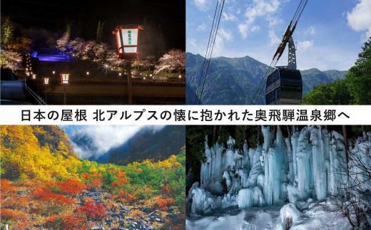 奥飛騨温泉郷宿泊割引券 10,000円相当 宿泊券 旅行券 飛騨高山 旅行チケット 平湯温泉 / 福地温泉 / 新平湯温泉 / 栃尾温泉 / 新穂高温泉 GB004