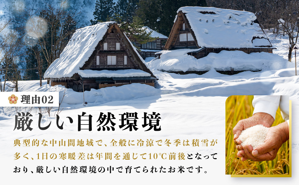 【先行受付】令和8年産新米 飛騨コシヒカリ10kg | 新米 米 ごはん おいしい もっちり 飛騨高山 船場農園 つむぎ果樹園 GH016