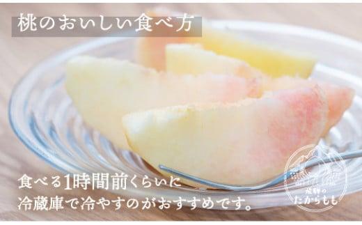 【定期便】全3回 飛騨のたからもも 特上 糖度15度以上（2玉×3回） ※7月・8月・9月お届け | 桃 朝採れ 白桃 もも フルーツ ギフト 果物 人気 おまかせ 飛騨桃 飛騨高山 つむぎ果樹園 GH100