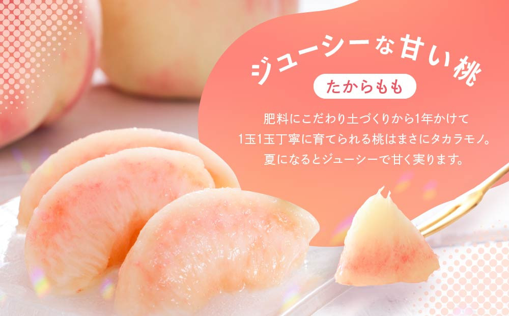 【数量限定/先行予約】≪定期便3回≫ 飛騨のたから桃 食べ比べ定期便4～8玉 糖度11度以上｜7月・8月・9月にお届け！ 桃 おまかせ 旬 果物 飛騨高山 厳選 産直 つむぎ果樹園 GH105