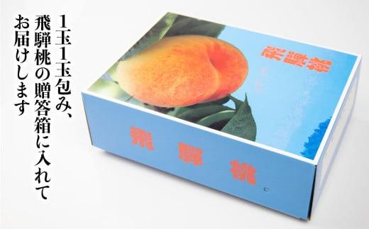 【先行受付】2026年8月発送 桃 飛騨もも 2kg 5～6玉入り | もも モモ 飛騨高山 糖度 甘い 2キロ 果物 白鳳 昭和白桃 など 夏 くだもの お取り寄せ 上広瀬果樹組合 GJ001