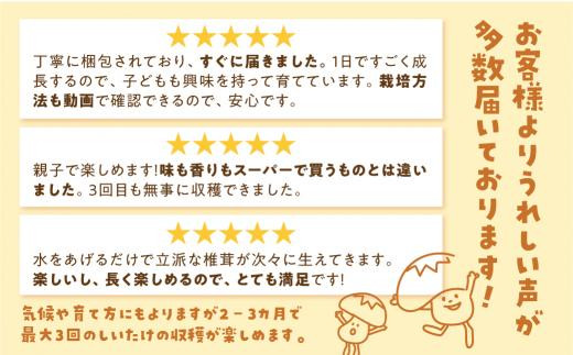 【11月発送開始】 定期便 菌床椎茸栽培キット 1個×全4回（11月・2月・5月・10月に発送）| しいたけ シイタケ 椎茸 栽培キット きのこ 栽培 菌床 しいたけ菌 椎茸菌 栽培ブロック 採れたて とれたて 夏休み 自由研究 園芸 食育 飛騨高山きのこの里 GK100VC11