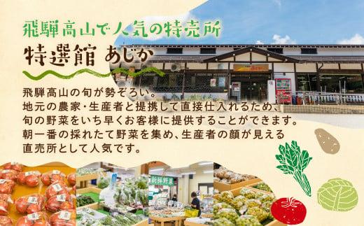 【2025年予約受付】（2025年4月中旬～順次発送予定）飛騨の野菜お任せセット 7～9品目 | セット 野菜 夏野菜 秋野菜 おまかせ お取り寄せ 新鮮 産地直送 飛騨産 夏 秋 サラダ 飛騨高山 あじかファミリー GN001