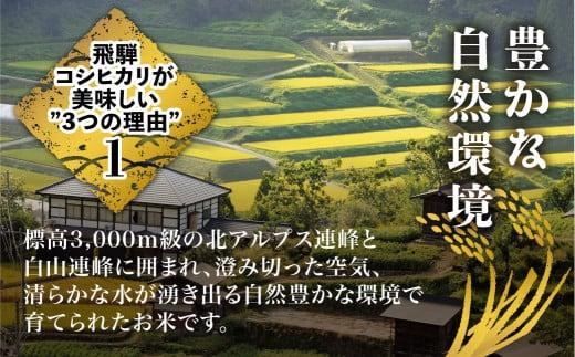【定期便 12ヶ月】（全12回）令和7年産 飛騨コシヒカリ 白米 10kg | こしひかり 飛騨こしひかり お米 コメ 精米 飛騨産 飛騨高山 JAひだ GS103