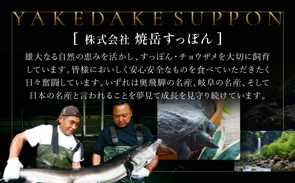 湯けむり美人すっぽんスープ　4人前｜和風惣菜 食品 人気 美容 健康 コラーゲン 栄養 伝統 日本料理 煮込み 温まる 冬季 スープ料理 だし 焼岳すっぽん HE005