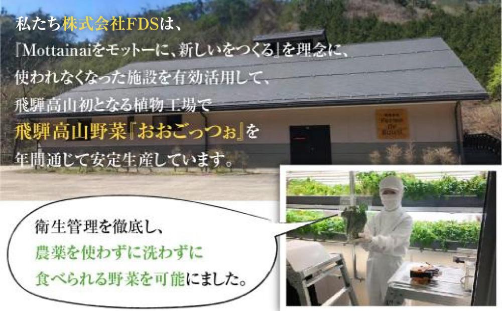 飛騨高山野菜『おおごっつぉ』詰合せ 葉物野菜 葉物 ミックスリーフ わさびな フラワーサラダ 無農薬野菜 無農薬 HS001VC13