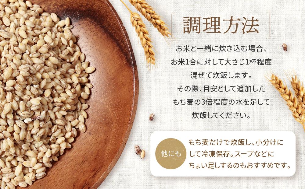 飛騨高山で有機栽培した「もち麦」はねうまもち 1kg | もち麦 雑穀 米 有機栽培 オーガニック 健康 おいしい 飛騨高山 有限会社山藏農園 JC016