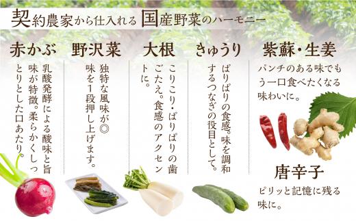 めしどろぼ漬け13袋セット 漬物 漬け物 香の物 副菜 郷土料理 お漬物 ご飯のおとも うら田 KF003
