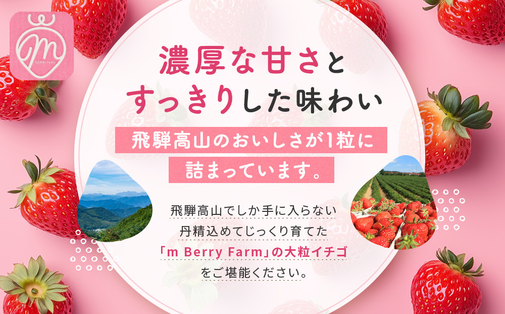 【いちご大粒12粒】朝摘み! 濃厚紅ほっぺ 約450g×1パック（数量限定／先行予約／1月〜4月発送）| いちご フルーツ 大粒 おいしい ハウス栽培 飛騨高山 m BerryFarm KL002