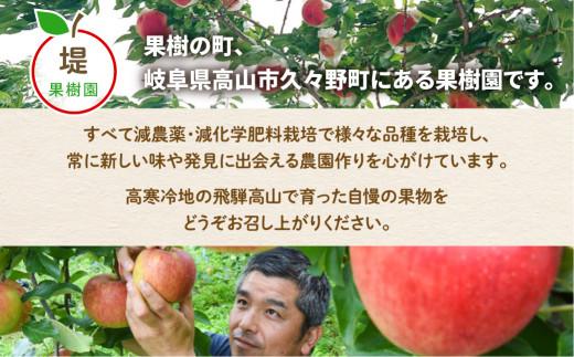 【先行受付】飛騨りんご2種詰め合わせ 3kg | りんご 林檎 リンゴ 果物 フルーツ 産地直送 品種お任せ 日付指定不可 9月下旬～11月上旬頃順次発送 堤果樹園 KU001