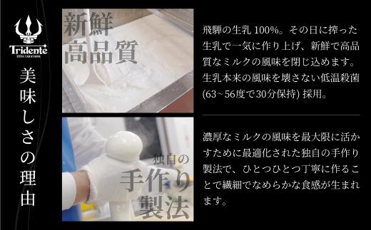 飛騨生乳100％ リコッタチーズ 2個（1個250g）| リコッタ 冷蔵 サラダ お菓子 前菜 サラダ 新鮮 生乳 国産 低温殺菌 乳製品 無添加 大容量 業務用サイズ 飛騨高山 チーズ工房トリデンテ LF006