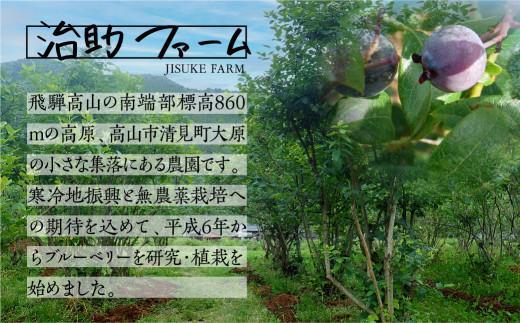 【12月配送】治助ファームの北部ハイブッシュブルーベリー「冷凍果実」210g×2袋と手作りジャム110g×2個セット | 年内発送 国産 ブルーベリー ジャム フルーツ おやつ 製菓 冷凍 くだもの 果物 冷凍フルーツ 飛騨高山 治助ファーム LJ006VC12