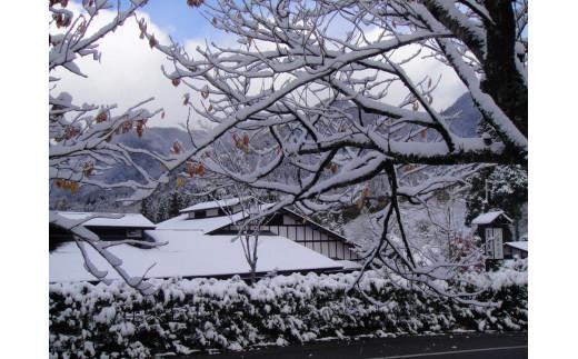 隠庵ひだ路 碧（あお）の間 【温泉露天風呂+檜内湯付】 和洋室 平日限定 1泊2食 ペア 宿泊券  温泉 露天風呂 旅行 LL005