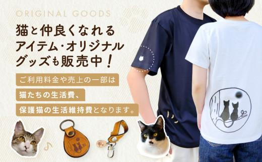 猫の月さくらやまご招待券1名様分（猫カフェ60分無料＋ワンドリンク付き）　ネコカフェ チケット 猫 ねこ ドリンク付き 古民家カフェ 保護猫 猫の月 さくらやま LM005