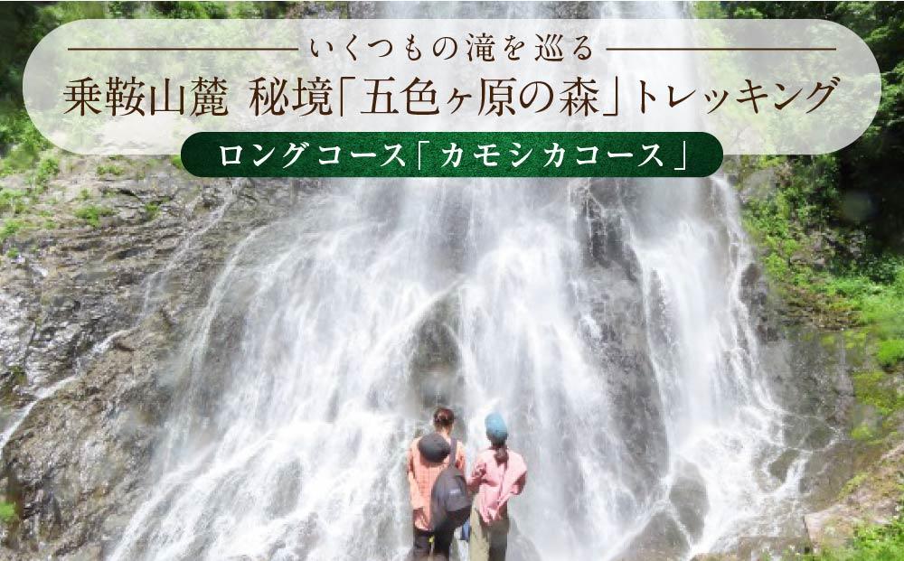 奥飛騨温泉郷「飛騨つづり朧」一棟貸し 2泊3日 ＆ 五色ヶ原の森トレッキング（カモシカコース）＋送迎付き【期間限定:2025年/2026年6月～10月】| 温泉 奥飛騨 宿泊券 五色ヶ原の森  トレッキング 飛騨高山 高山エース旅行センター LQ003