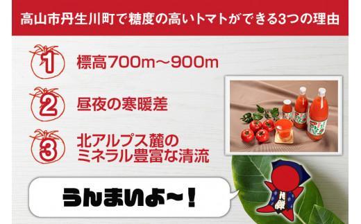 マルオリ トマトジュース 500ml×6本入 食塩無添加 | 無塩 無添加 完熟トマト ストレート 100% 果汁 野菜ジュース ドリンク 500ml 野菜 飲み物 トマト ジュース 飲料 飛騨高山 マルオリ LS002VC13