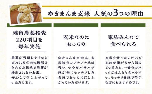 【寄附額見直しました！】玄米パックごはんもっちり旨いゆきまんま玄米（12食入）1食150g | パックご飯 玄米  お手軽 レンジ調理 玄米食 150g ご飯 ごはん まんま農場 LT007VC13