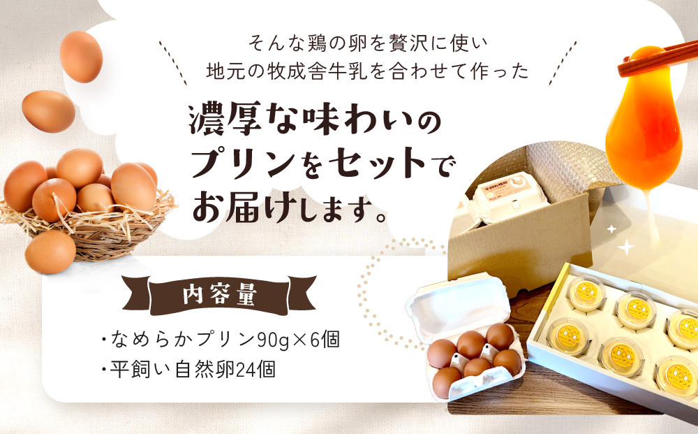 平飼い自然卵となめらかプリンセット｜自家製 卵 地元食材  スイーツ  朝食 自然 なめらか 菓子  飛騨高山 森のたまご農園 LW008