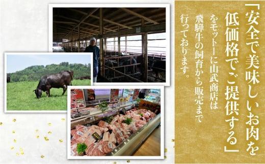 【12月配送】飛騨牛 焼肉 2種食べ比べ 500g（ロース200g もも300g）| 年内発送 和牛 黒毛和牛 ブランド牛 牛肉 ロース もも 焼肉セット 肉 お肉 お取り寄せ 飛騨高山 山武商店 LZ003VC12