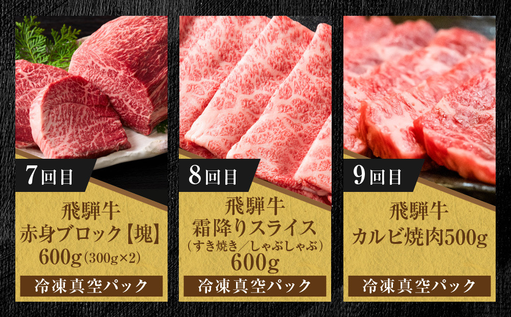 【定期便】全12回 飛騨牛 ざんまい(ステーキ/焼肉/すき焼き/切り落とし/ブロック) | 肉 お肉 黒毛和牛 和牛 個包装 小分け 牛肉 お取り寄せ 飛騨高山ミート MZ106