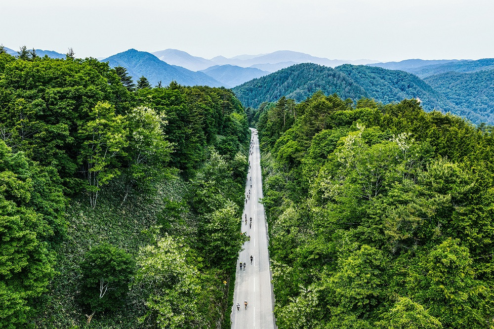 第14回 飛騨高山ウルトラマラソン参加権（一般：71km）| マラソン大会 スポーツ 飛騨高山 株式会社ランナーズ・ウェルネス PM002