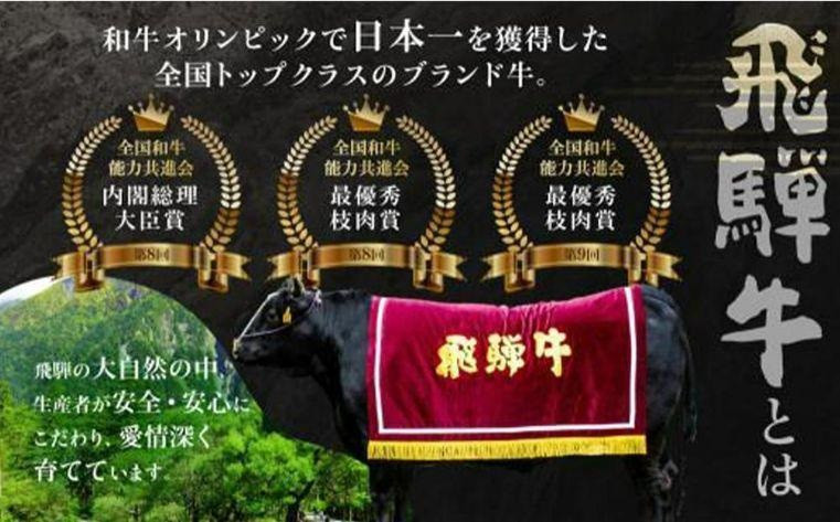 飛騨高山の誇り 飛騨牛焼肉 リブロース＆モモ合計600g 2～4人前　｜飛騨牛 ブランド 焼肉セット 黒毛和牛 飛騨高山 マノア株式会社　PS001 　