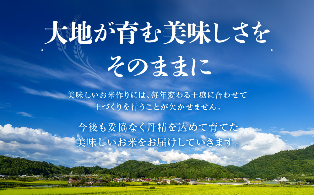 【令和7年度産】国産米「飛騨のお米」3kg×4袋 | 白米 米 おいしい ごはん 食品 飛騨あさひ農園 SV004