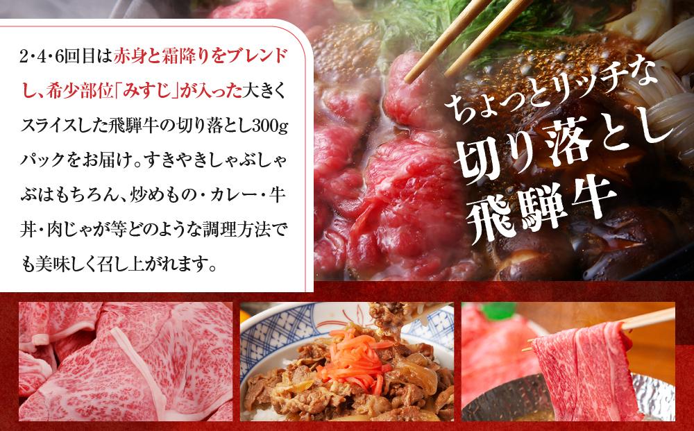 「飛騨牛のコロッケと飛騨牛切り落とし定期便」（全６回）コロッケと飛騨牛を毎月交互にお届け！ 飛騨牛 コロッケ 切り落とし 定期便 ZZ001