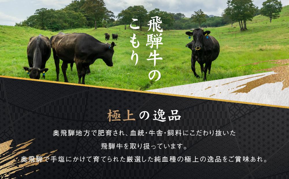 【全4回】「飛騨牛定期便」肉 飛騨牛 定期便 約1.9kg 牛肉 しゃぶしゃぶ 焼肉 すき焼き ステーキ 山武商店 飛騨牛のこもり ZZ002