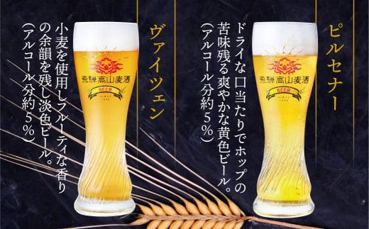 飛騨高山麦酒 バラエティー缶12本詰め合わせ ビール お酒 飛騨高山 クラフトビール 地ビール 飛騨高山 プレミアム 家飲み おうち時間 ピルスナー ヴァイツェン ダークエール 父の日 酒 セット 贈答用 詰め合わせ BK017